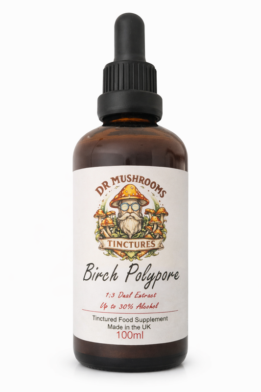 Birch Polypore Mushroom Tincture 100ml XL - Nature’s Gut & Immune Support Mushroom