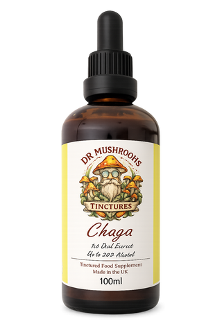 Chaga Mushroom Tincture 100ml XL
