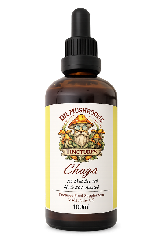 Chaga Mushroom Tincture 100ml XL - The Antioxidant Super Mushroom