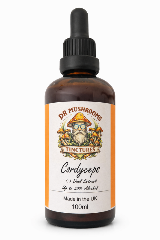Cordyceps Mushroom Tincture 100ml XL - The Energy & Performance Mushroom