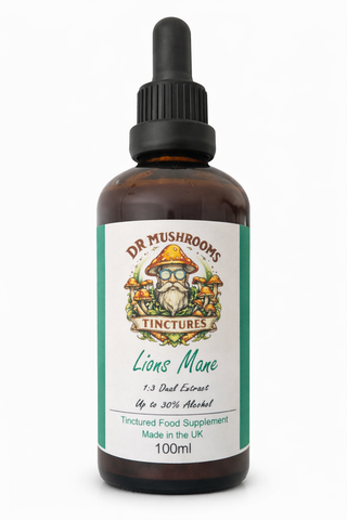 Lions Mane Tincture 100ml XL