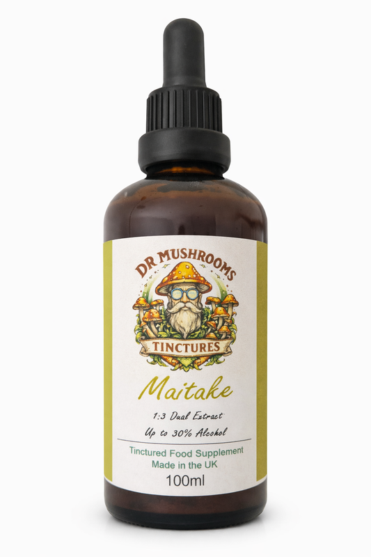 Maitake Mushroom Tincture 100ml XL - The Metabolism Support Mushroom