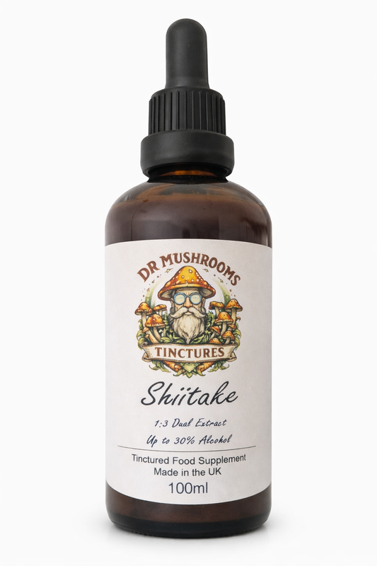 Shiitake Mushroom Tincture 100ml XL - The Heart Health Mushroom