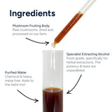 5 Mushroom Blend Tincture