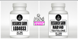 Ripped Labz Beginner Muscle Stack (LGD-4033 / RAD-140)